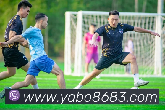 yaboAPP 封面图